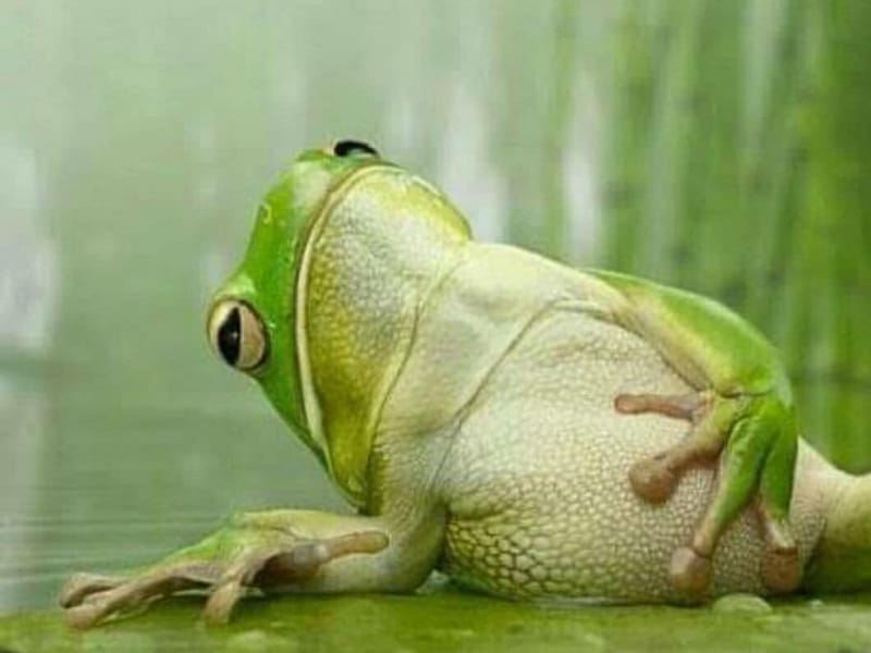 Везде был...